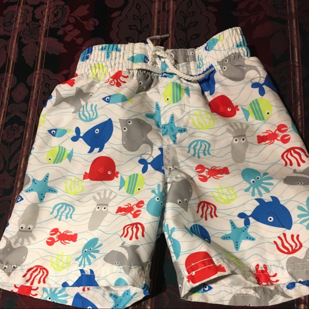 Baby Boys Swim Trunks